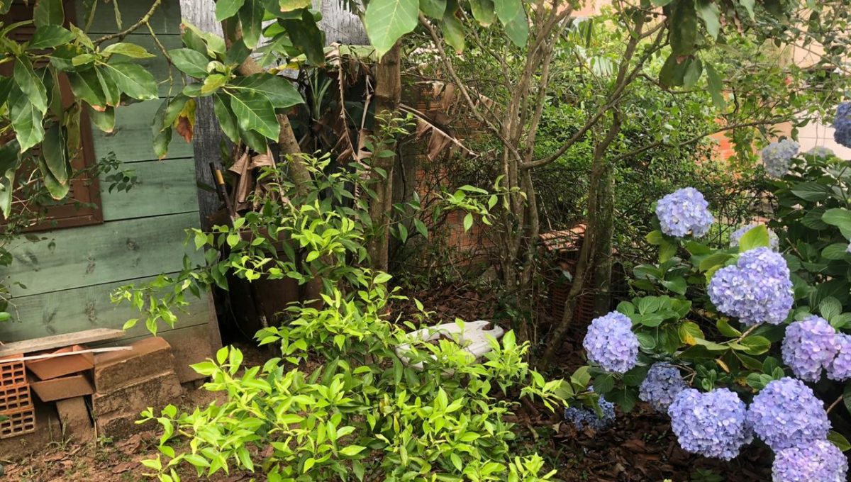 WhatsApp Image 2019-11-04 at 10.08.07 (1)