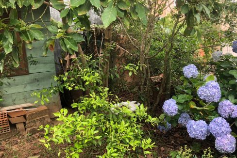 WhatsApp Image 2019-11-04 at 10.08.07 (1)